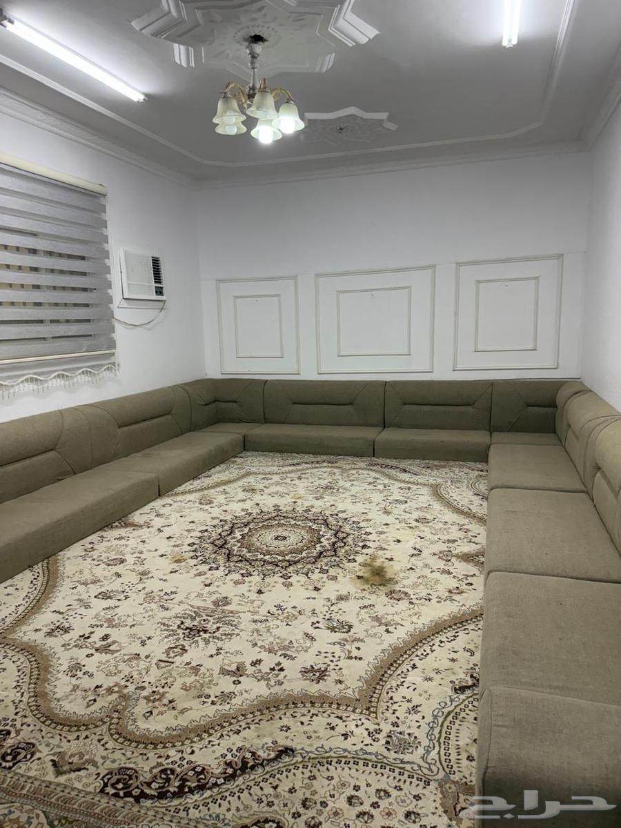 مقلط وسجاد للبيع64252165469058111