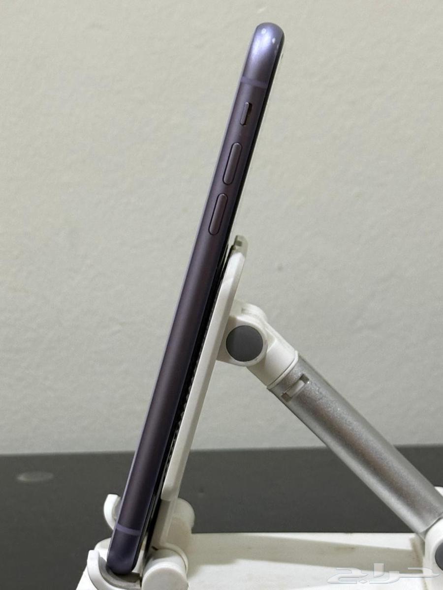 Regular iPhone 11 in purple color64243531168897113