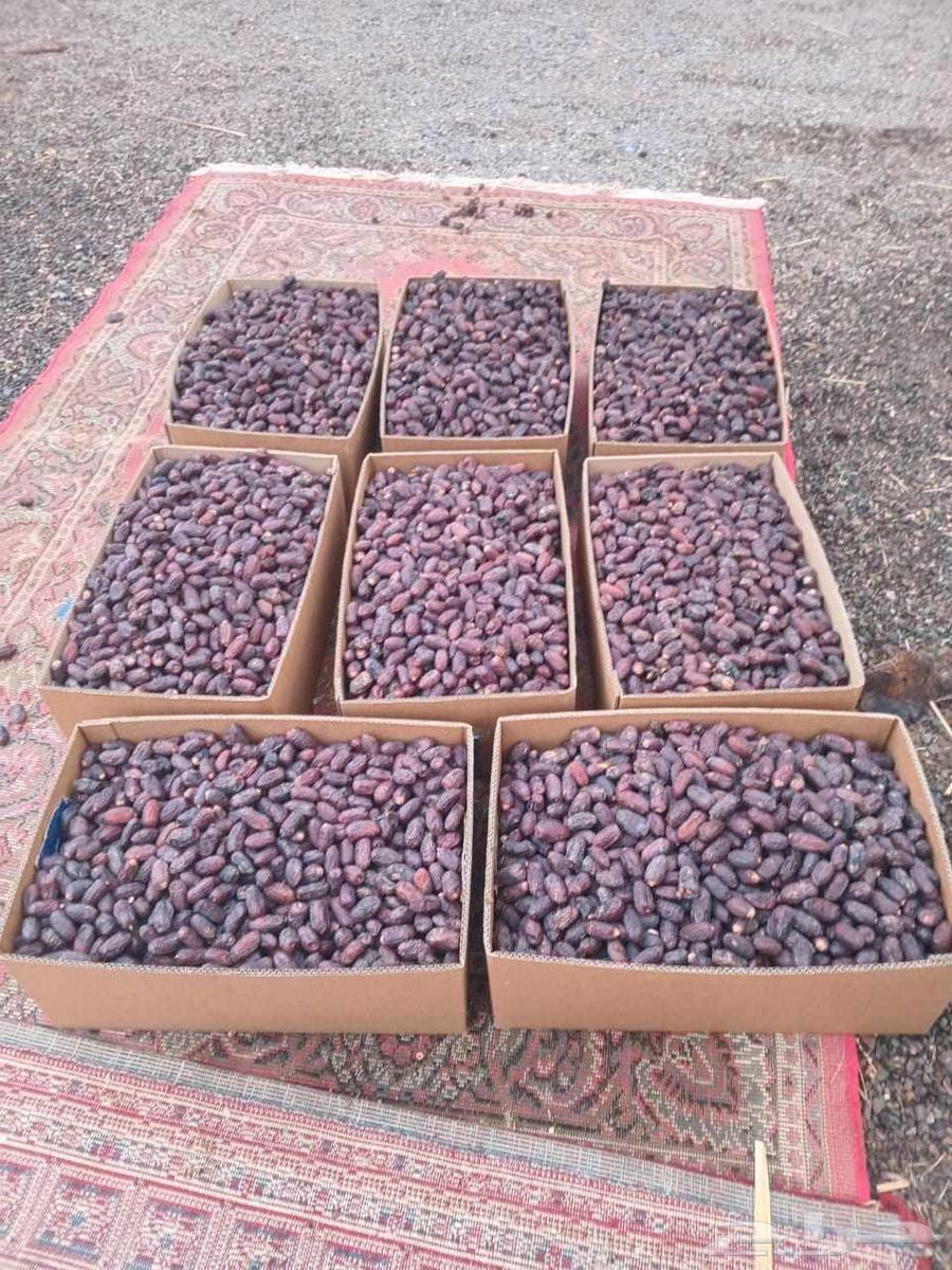 عجوة صفاوي روثانة64255241046017110