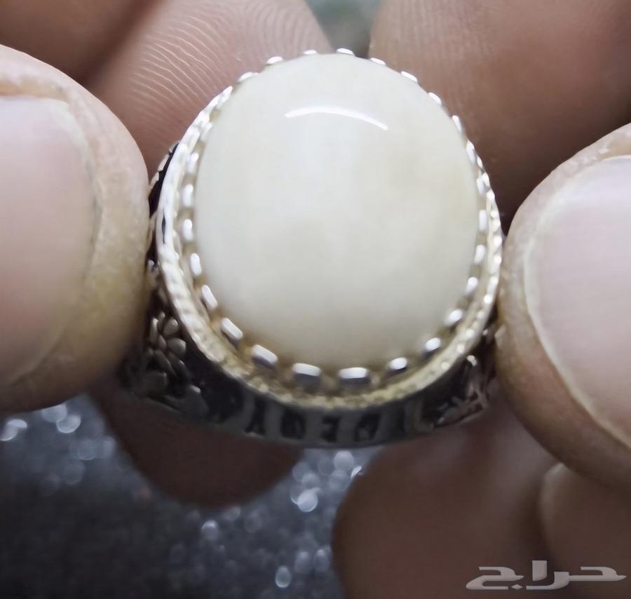 خاتم عاج فيل صياغة شريف64246299508610110