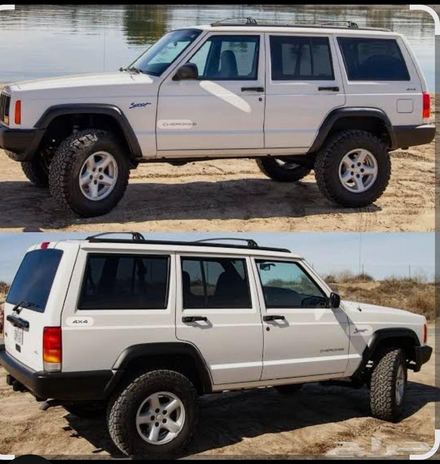 Shawki Required64423475955330110