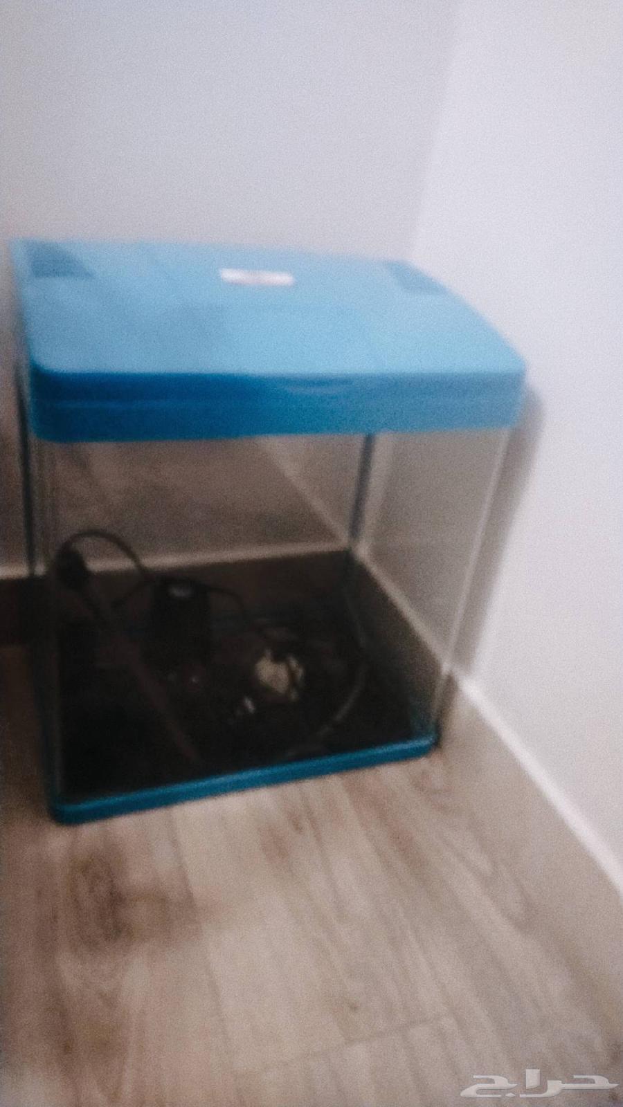 حوضين سمك للبيع نظيفة جدا64257902291075111