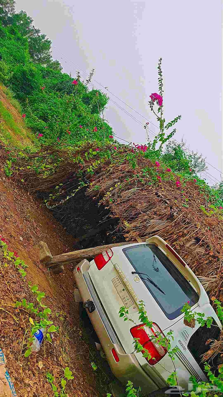 صالون 2004 Gxr64428255167489113