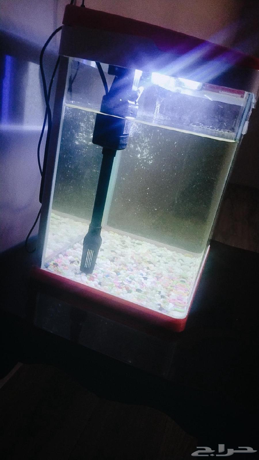 حوضين سمك للبيع نظيفة جدا64257902291075112