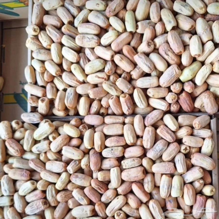 تمر لبانه فاخره 200 كرتون جمله فقط64257070995331110