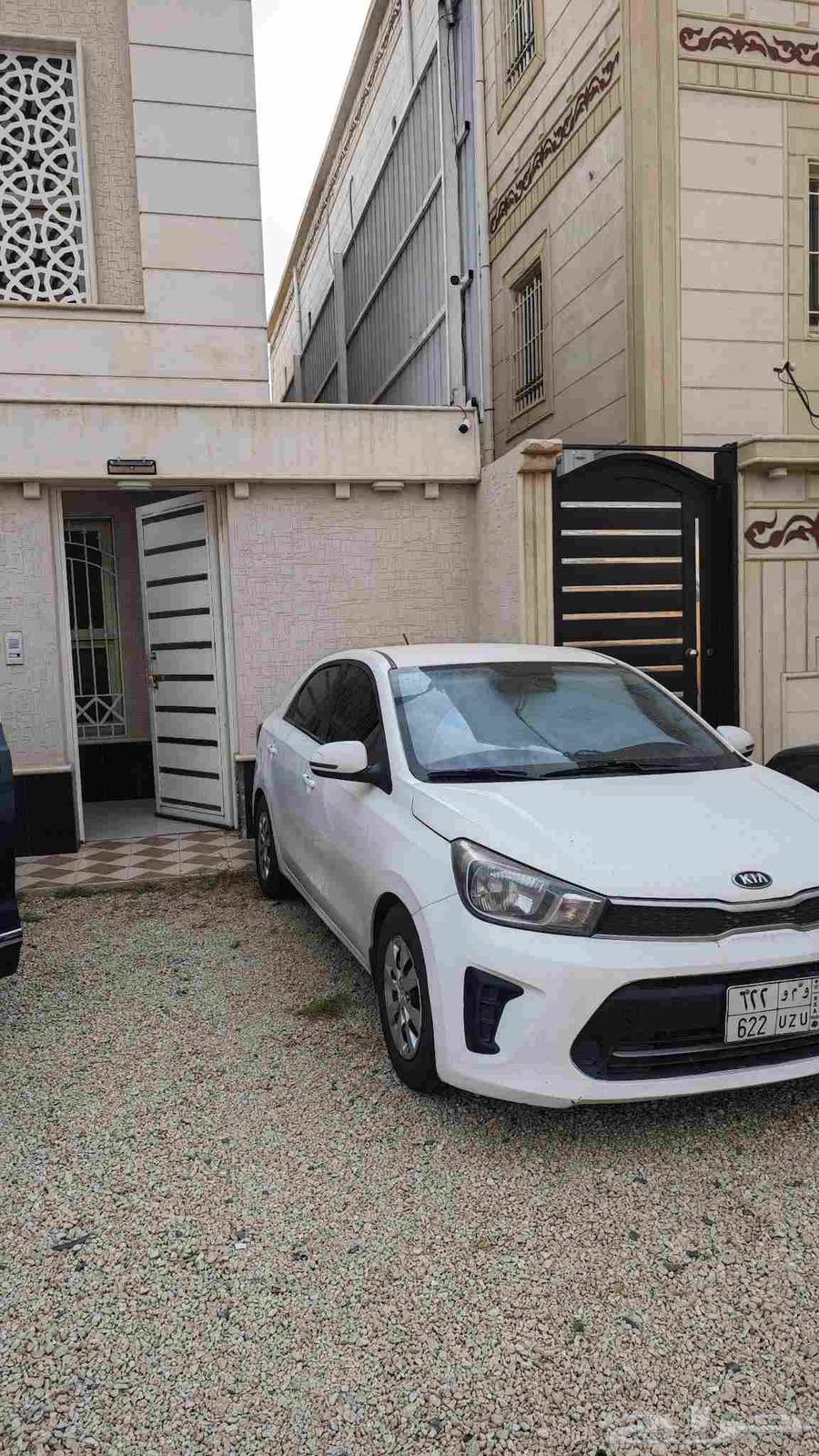 لوحة و م و 62264428013040771110