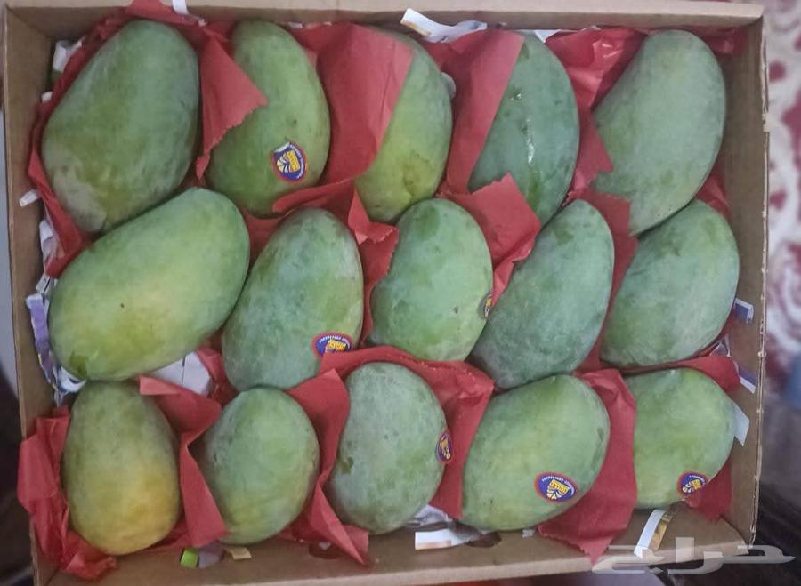 مانجا اسمعلاوي عويس و زبديه وسكري64257765812353114