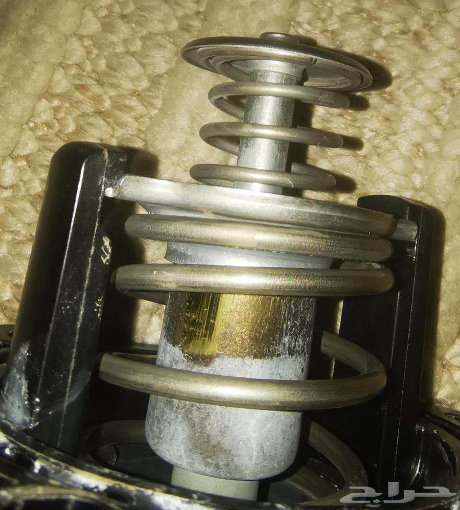 بلف حرارة اكورد 1364421445291778111