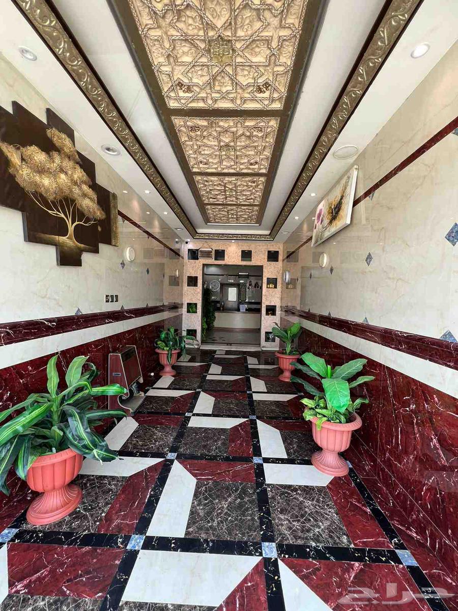 شقة للإيجار