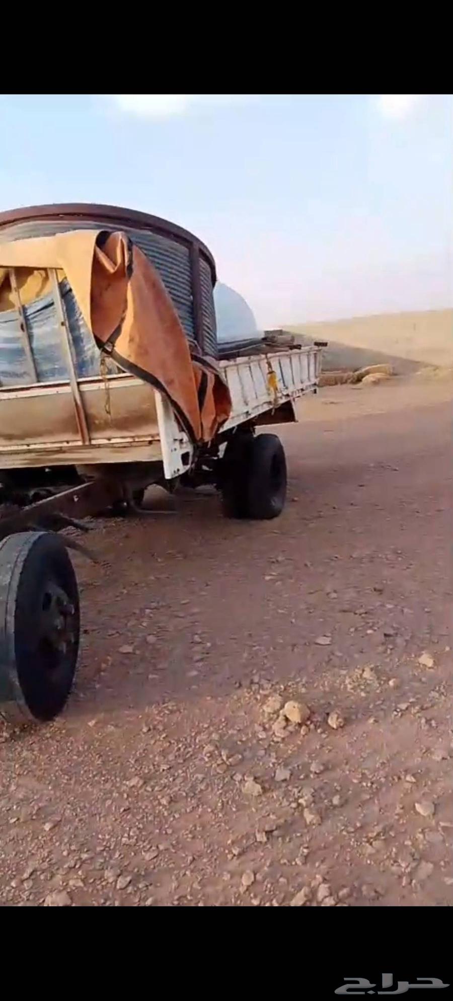 للبيع قلص دنا64425946199427113