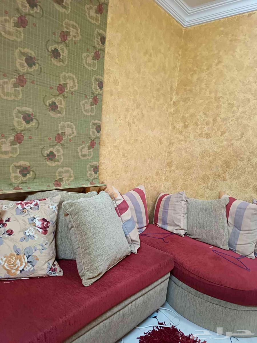 كنب او جلسة طوله 11 متر64257562590210112