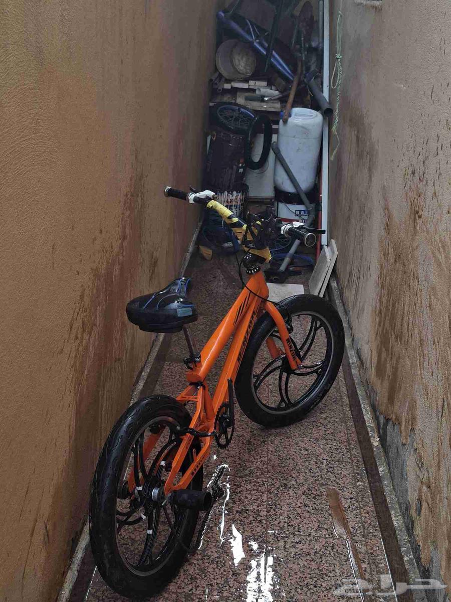 سيكل مقاس 20للبيع السعر300كن شاريه ب50064262701069058110