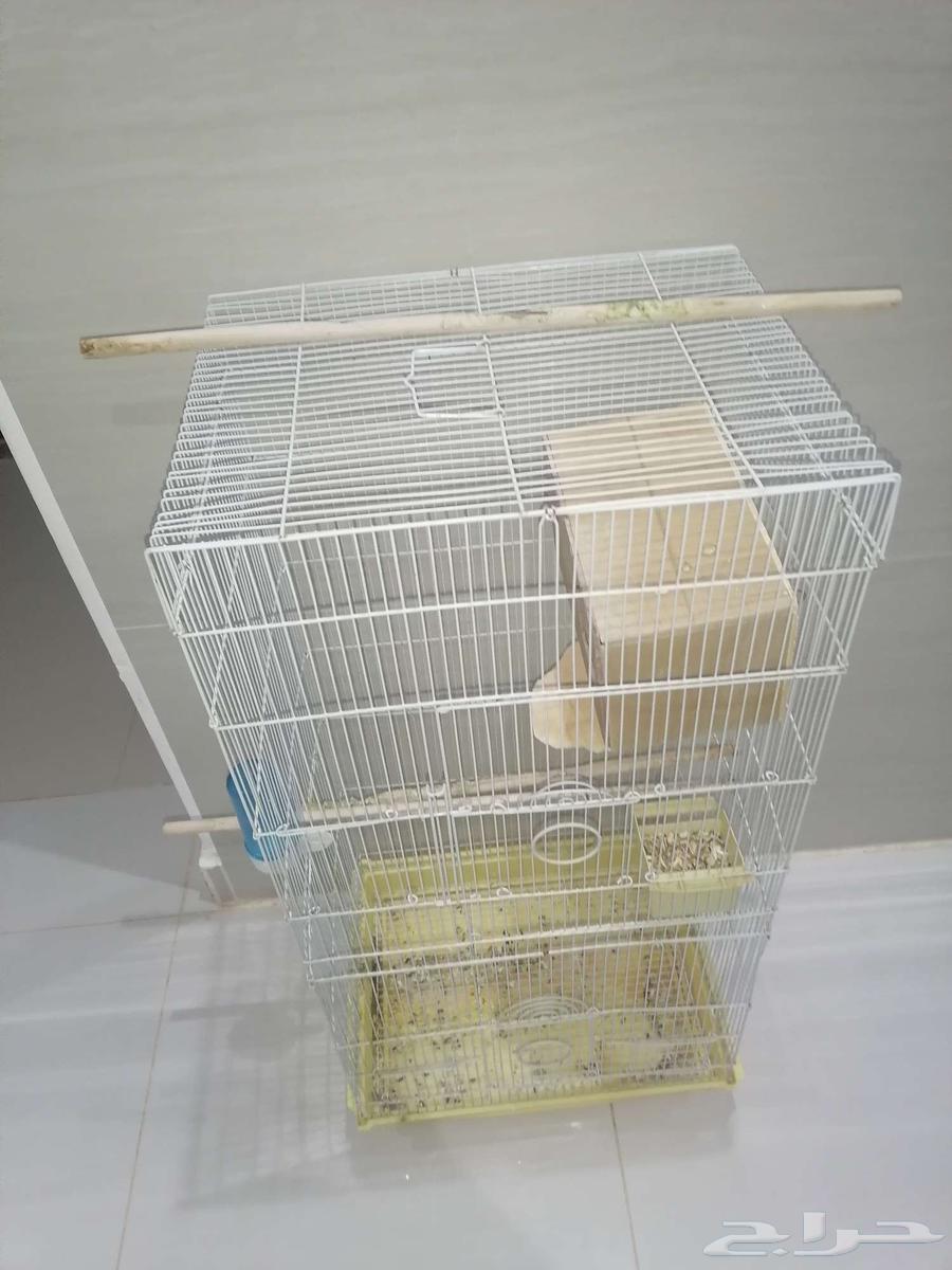 للبيع شبك64420905094273110