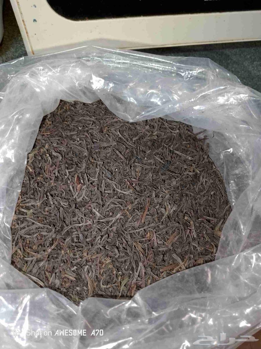 شاهي فاخر من ال خر64273675170818110