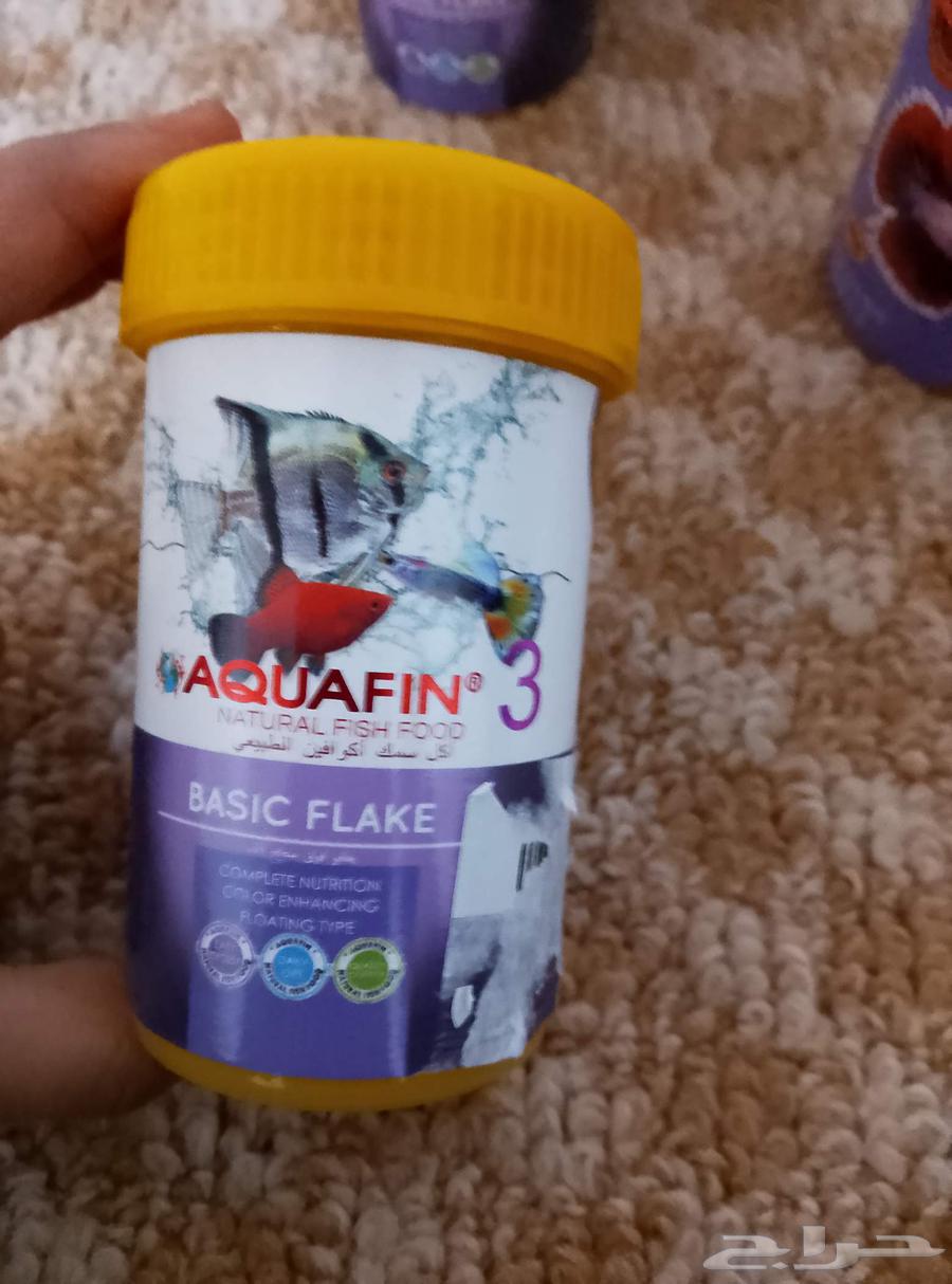 اكل سمك لبيع سمك فيتر و زينه64263719351170112