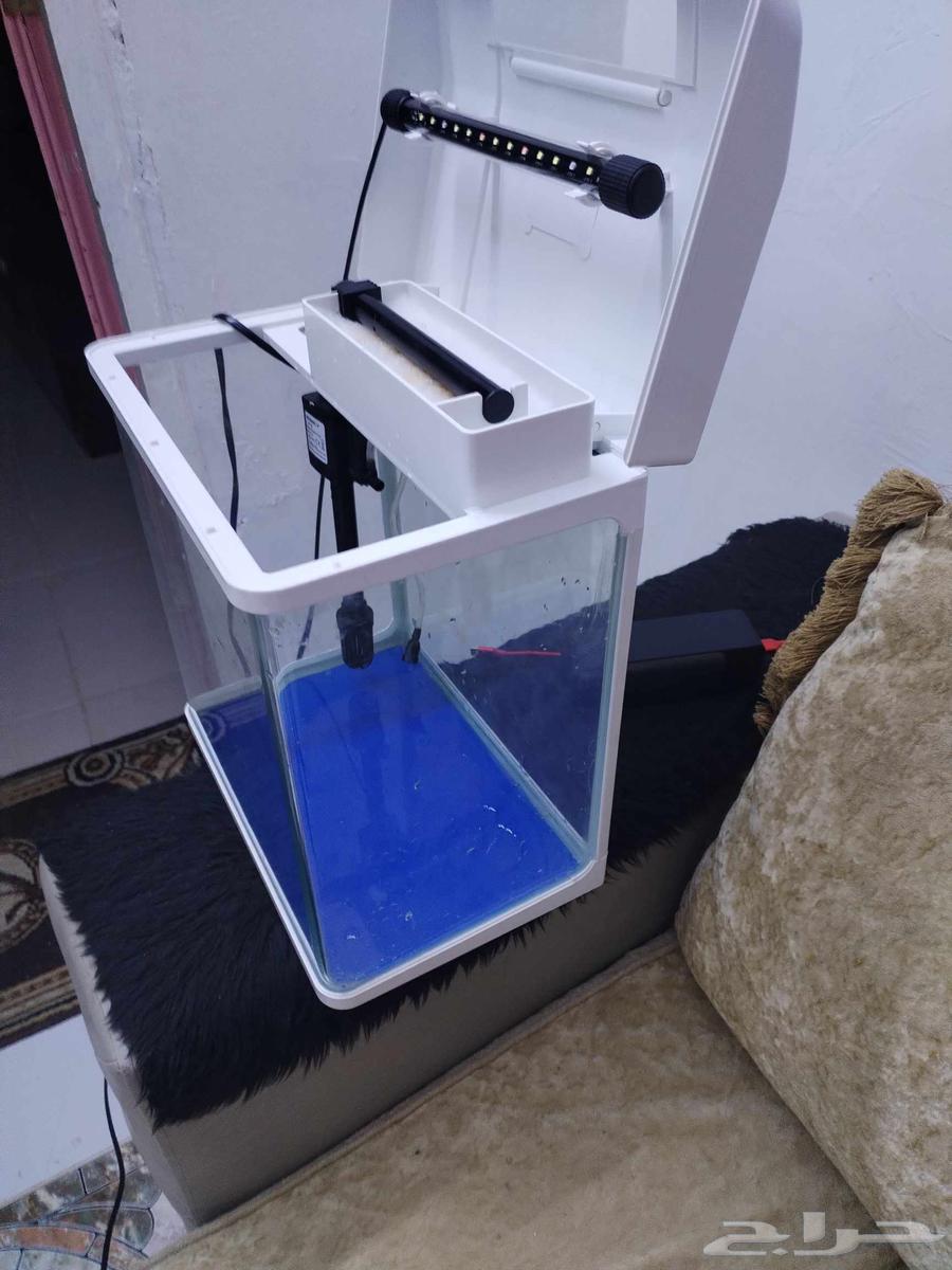 حوض اسماك وسلاحف برمائية بحالة ممتازة64256938128003113