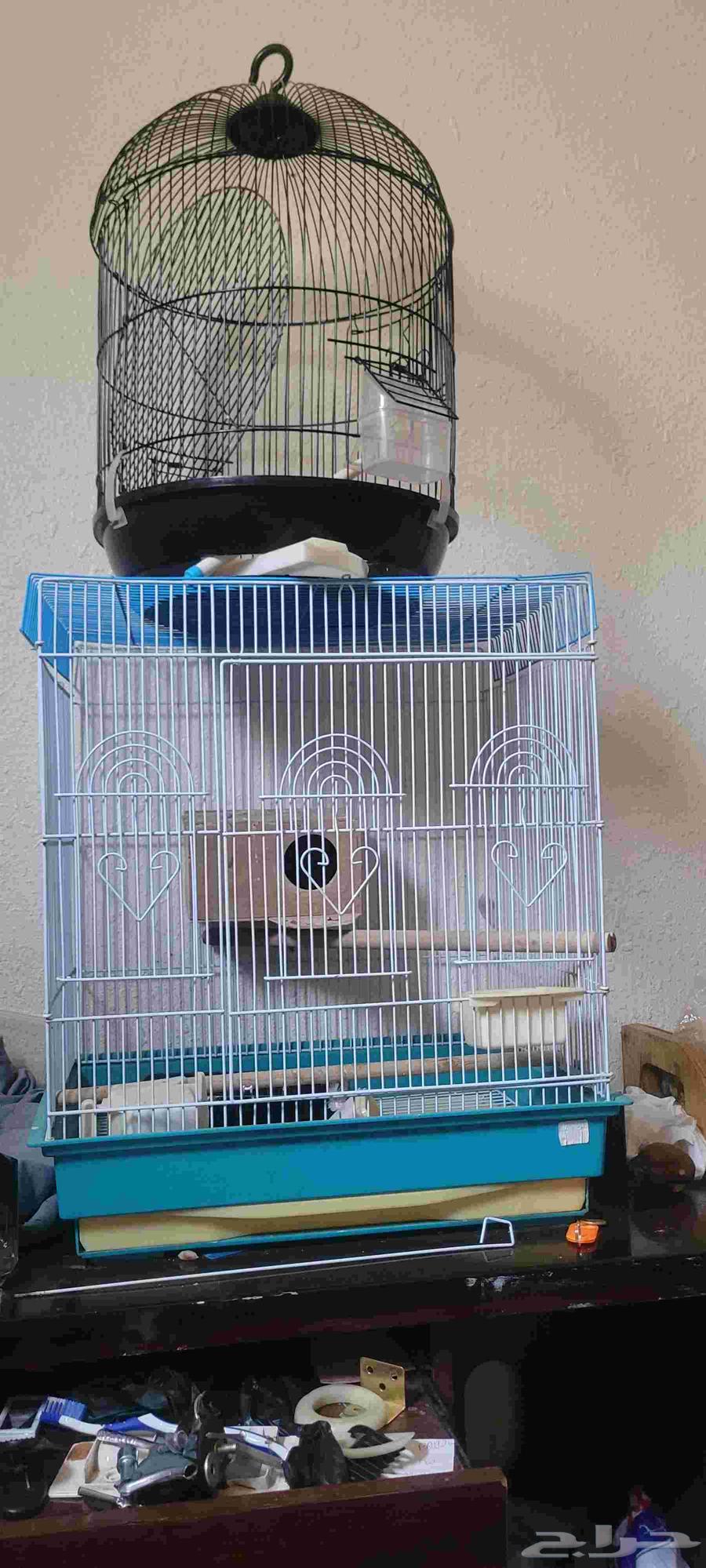 اقفاص طيور للبيع64263733583363110