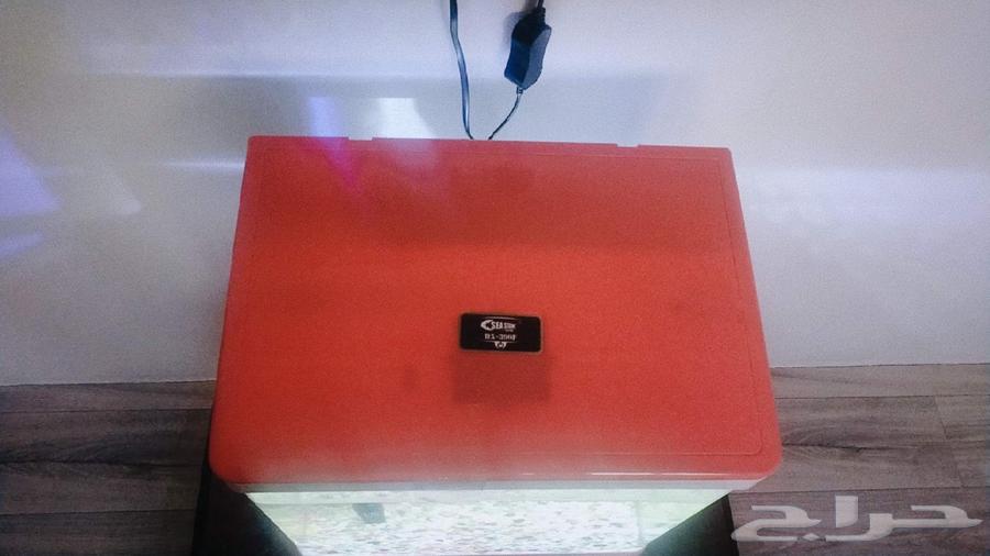 حوضين سمك للبيع نظيفة جدا64257902291075113