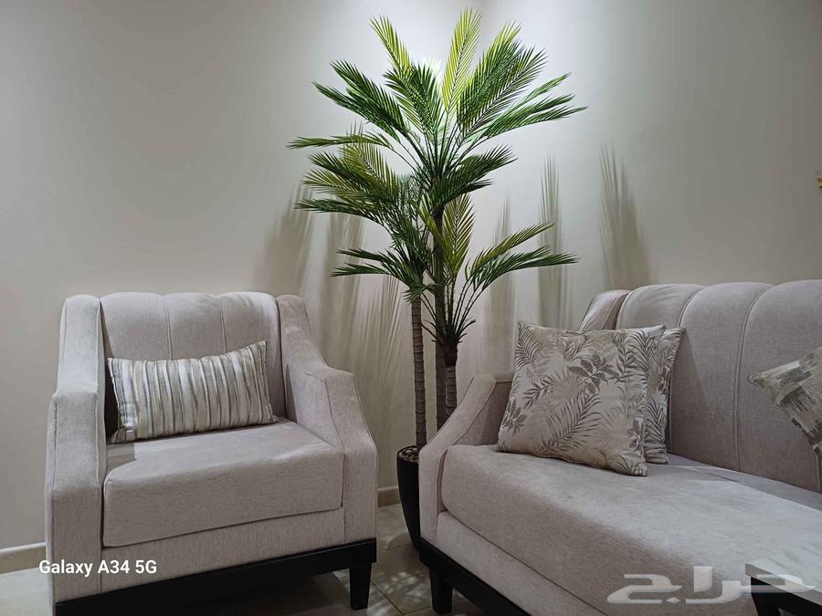 شجرة زينه كبيره للبيع64257413300611110