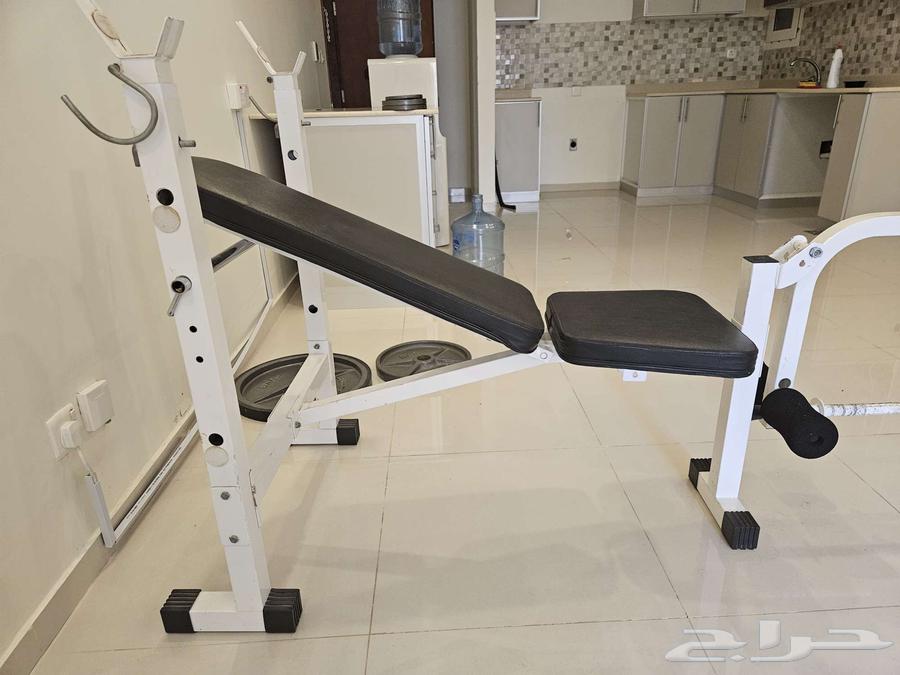 بنش مع حديد أثقال للتمرين المنزلي64263536073346112