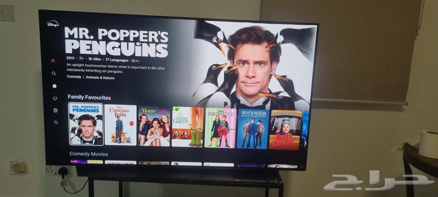 LG أوليد 55 بوصة CX64258215598337110