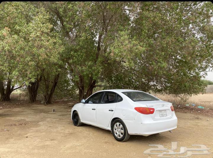 Nitra200864425637139458113