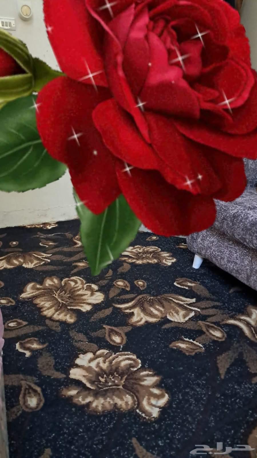 سجادة 4 5 نظيفة جدا  استعمال خفيف السعر 150 ريال64258540940291110