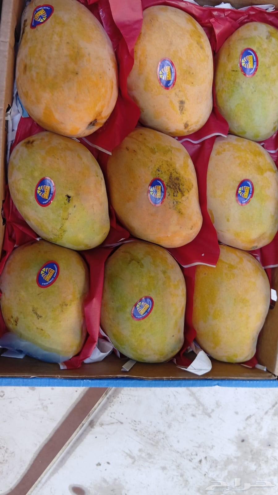 مانجا اسمعلاوي عويس و زبديه وسكري64257765812353112