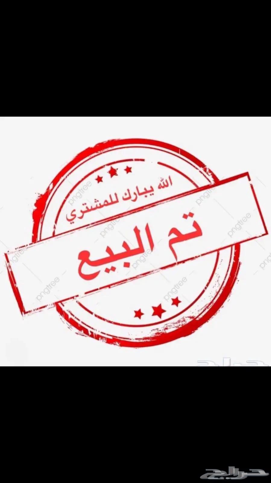 للبيع صوص فيومي سوبر جامبو64240713720195110