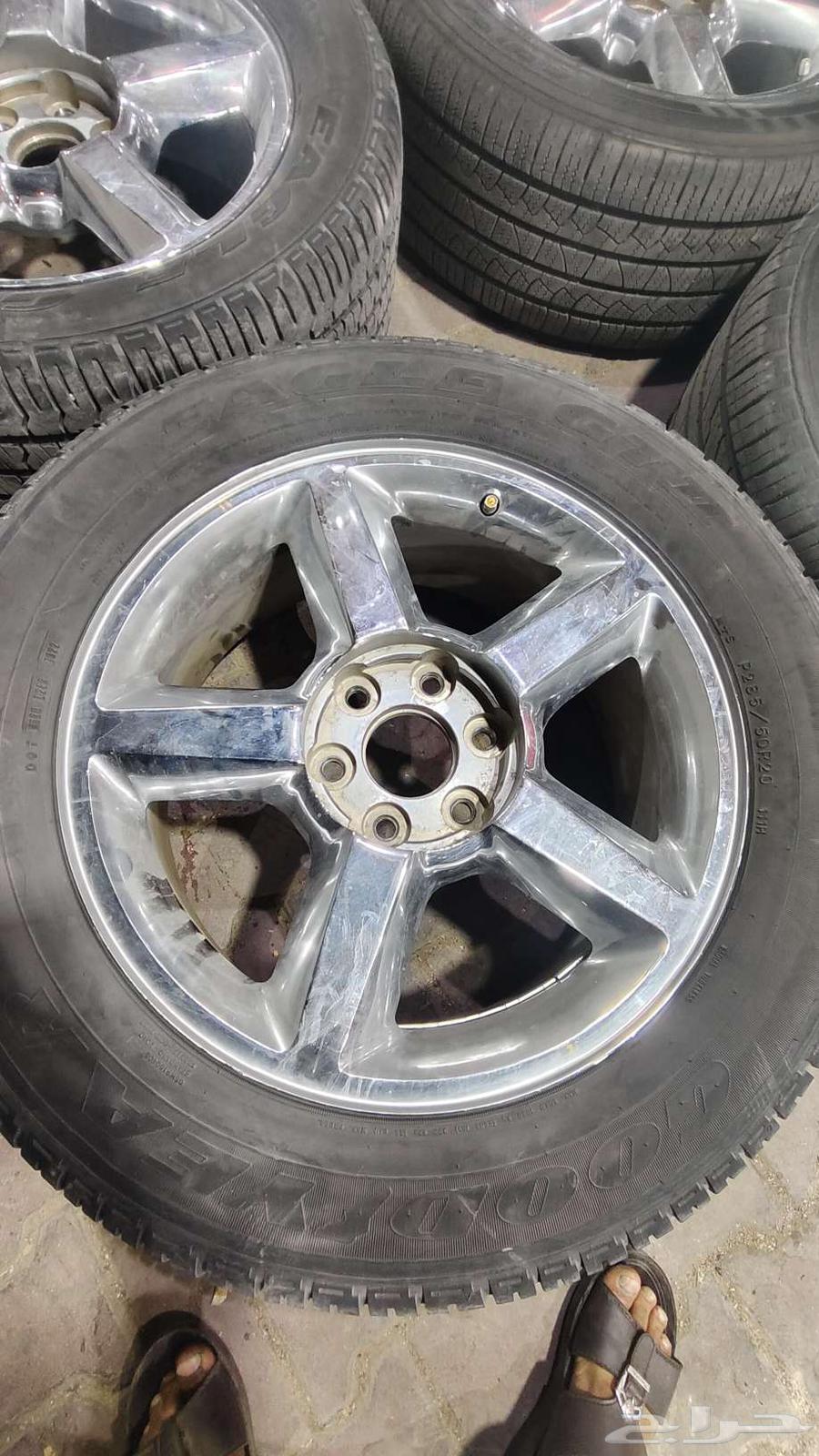 جنوط64426955294979112