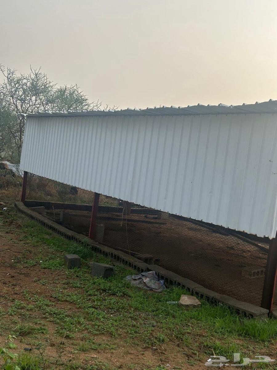 هنقر للبيع64261854943105110