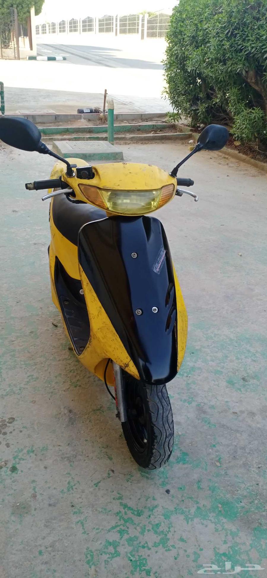 201764431978256769113