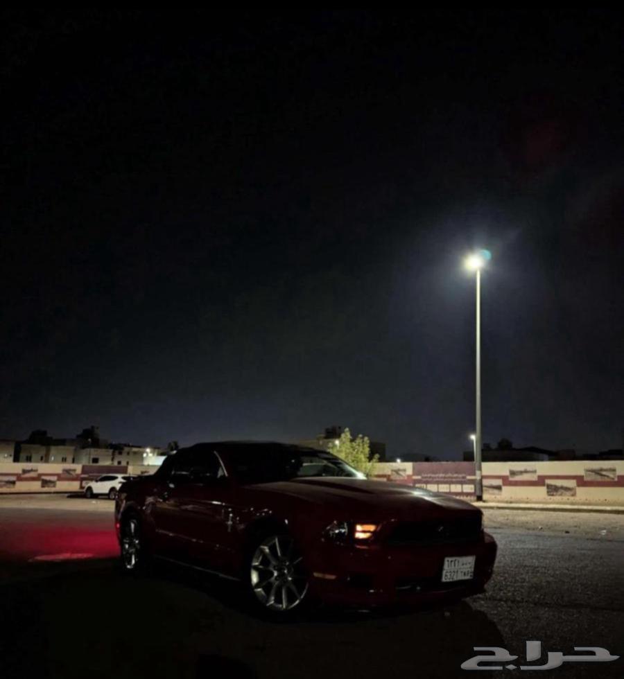 موستنج بريميوم كشف 2010 احمر64429775597953112