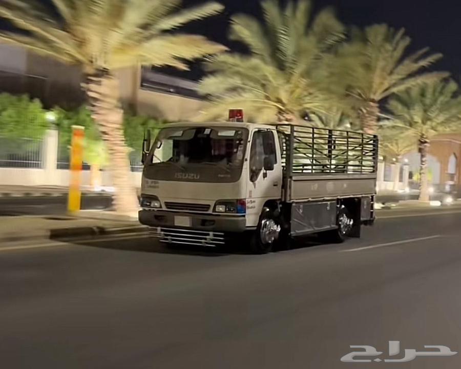 دينا نقل للنقل نقل دنا64428698052354110