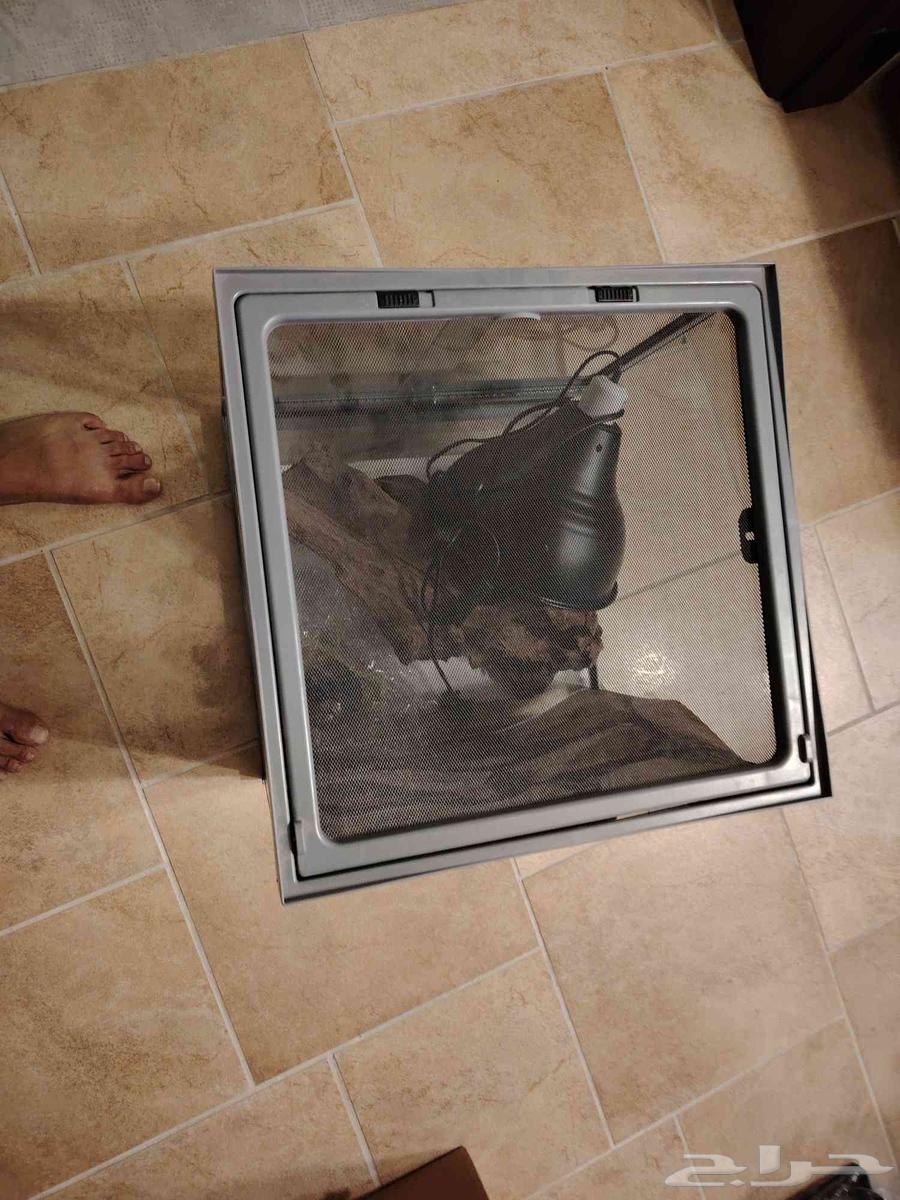 جده حي النعيم64431318581762111