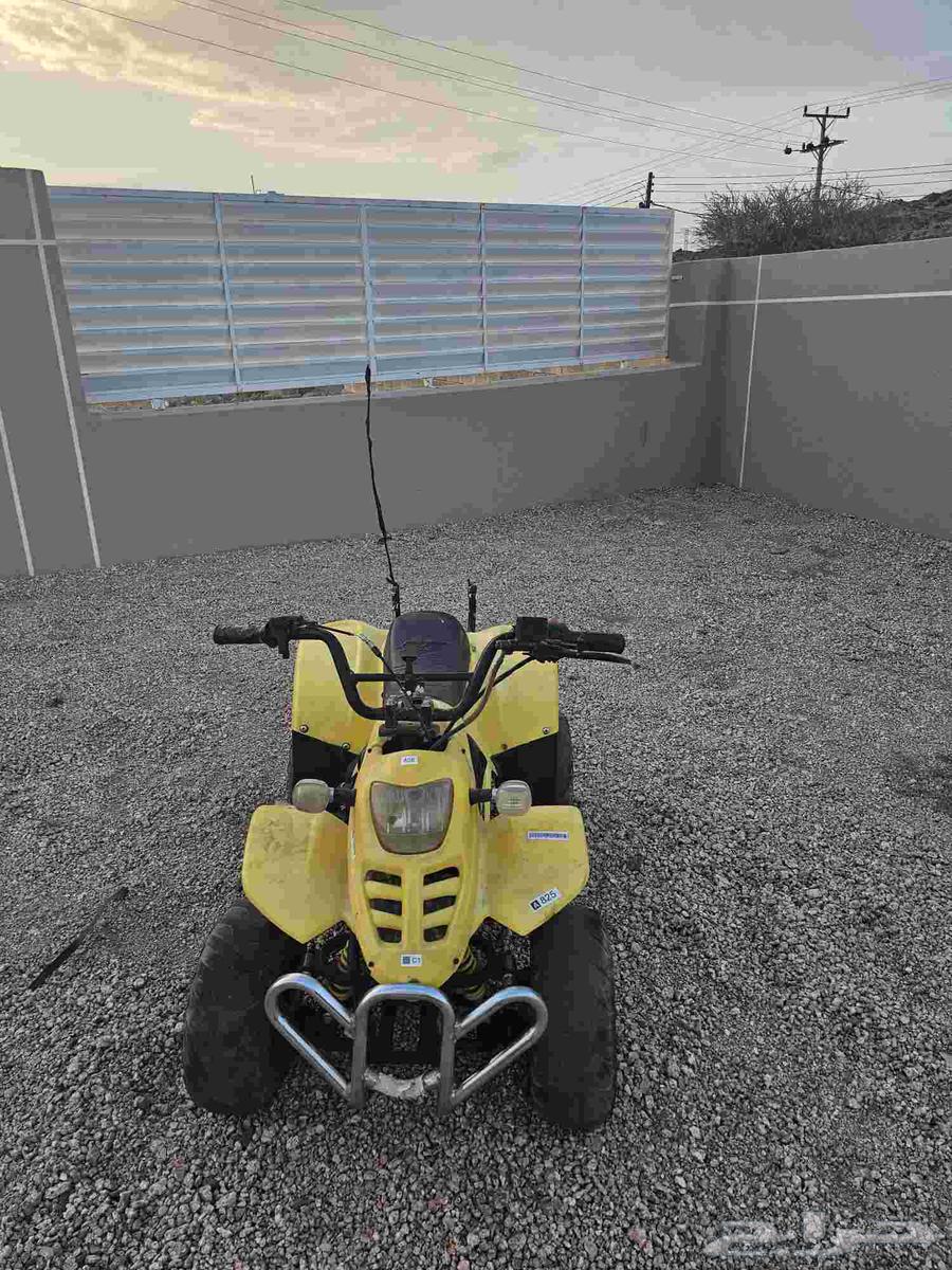 دبابين للبيع64439815809666114