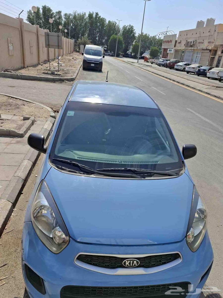 سياره كيا بكانتو مديل 16 ممشي 1013 لتواصل64439555363586110