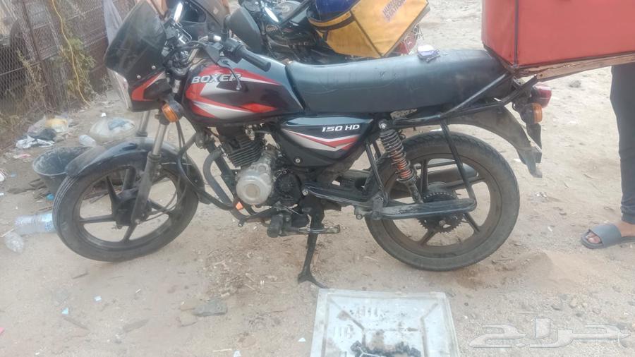 بوكسر 150 باجاج64428590137473111