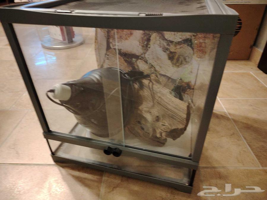 جده حي النعيم64431318581762110