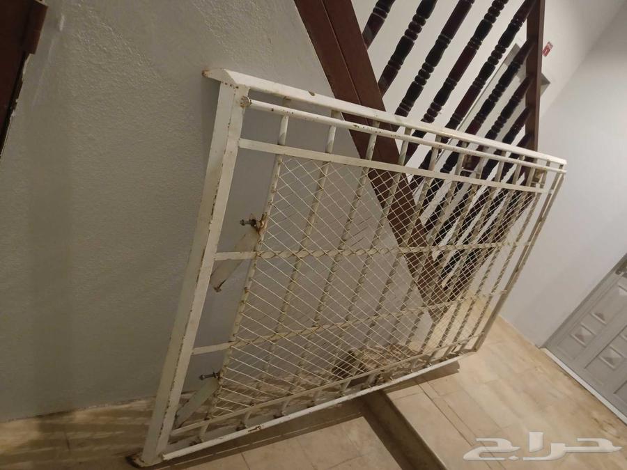 سله حق باص هايس تويوتا64428430043778111