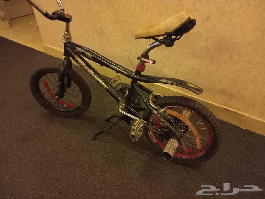 دراجه كوبره مقاس 16 بفصل السعر64440069536897112