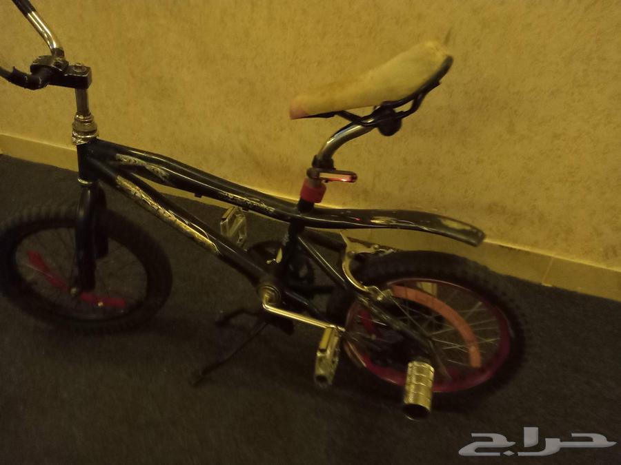 دراجه كوبره مقاس 16 بفصل السعر64440069536897111