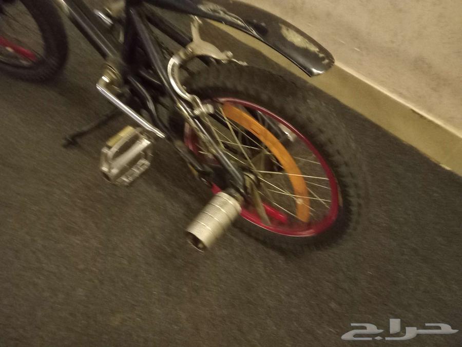 دراجه كوبره مقاس 16 بفصل السعر64440069536897114