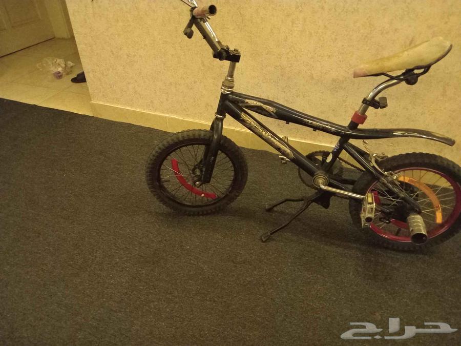 دراجه كوبره مقاس 16 بفصل السعر64440069536897113