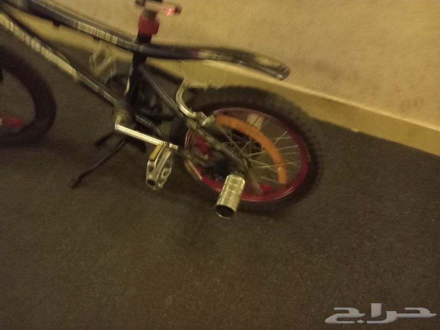 دراجه كوبره مقاس 16 بفصل السعر64440069536897110