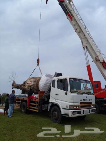 Crane and lifting equipment for rent in Jeddah, available for work, contact number WhatsApp64431345252227112