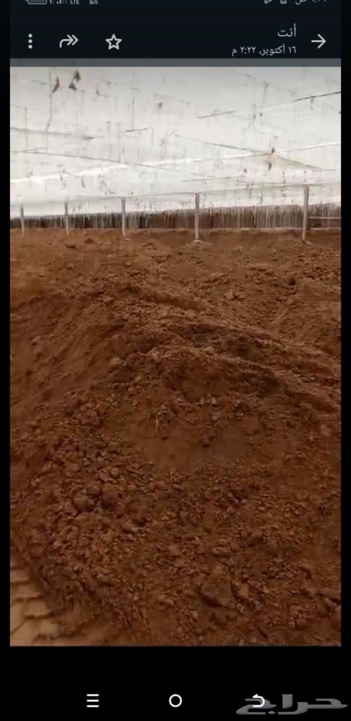 Supply of all types of sand, supply of gravel, waste removal64433739909378111