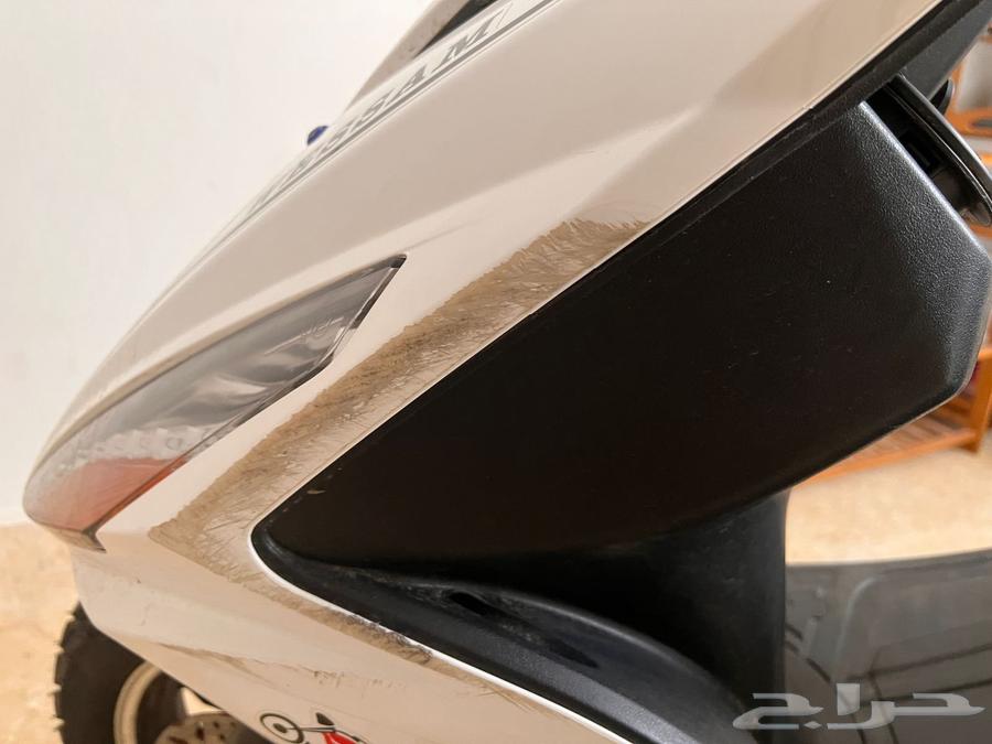 دباب البطه 202564446922831107114