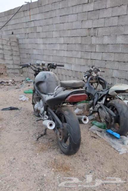 دباب يوماها 600 للبيع64445919445506110