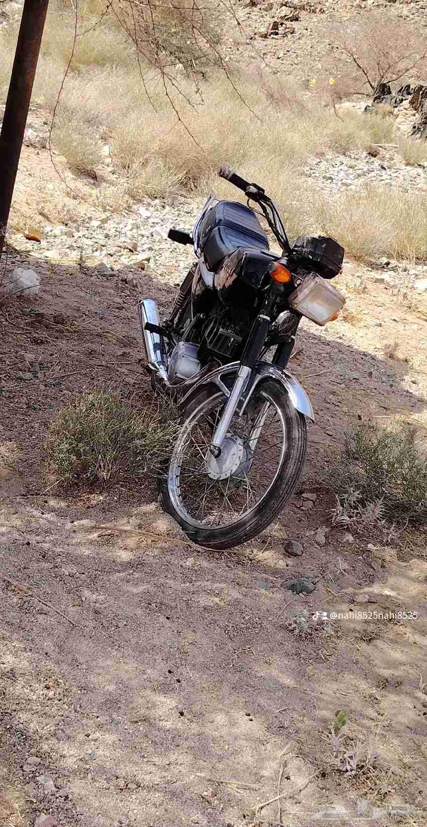 Mody202064449796646913111